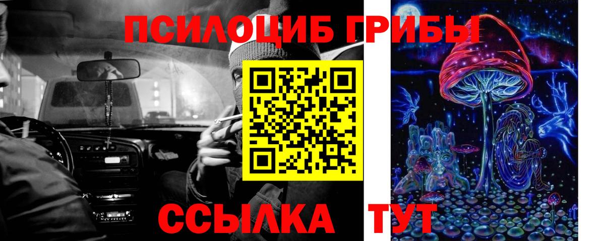 Мыски  Псилоцибиновые грибы GOLDEN TEACHER  Галлюциногенные грибы GOLDEN TEACHER  Вход с VPN 