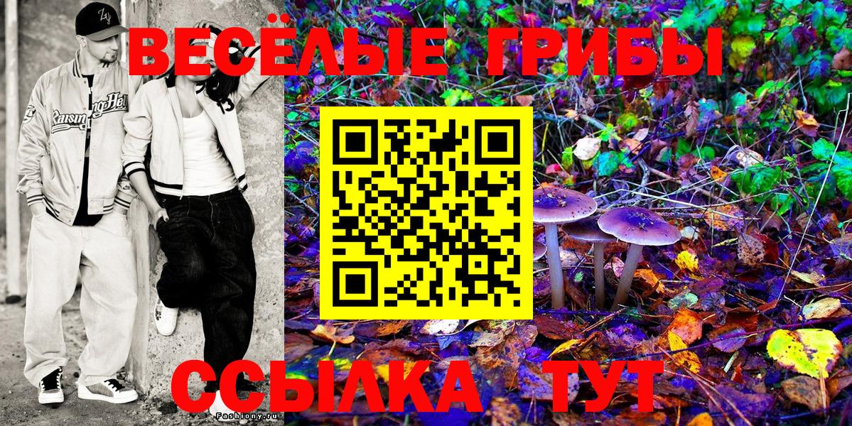 Галлюциногенные грибы Magic Shrooms Мыски